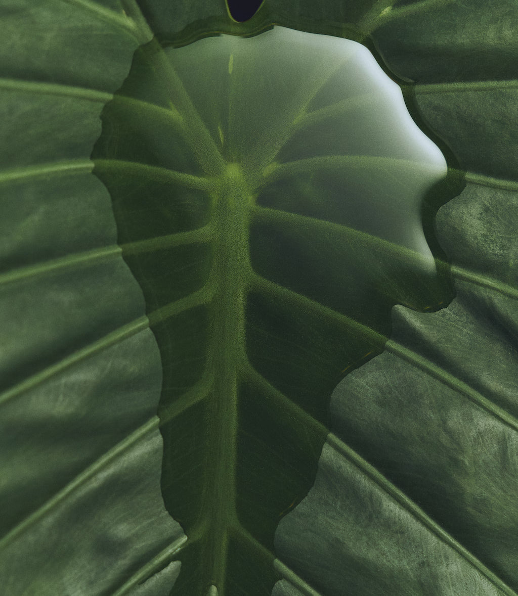 hoja de materiales y comprometidos