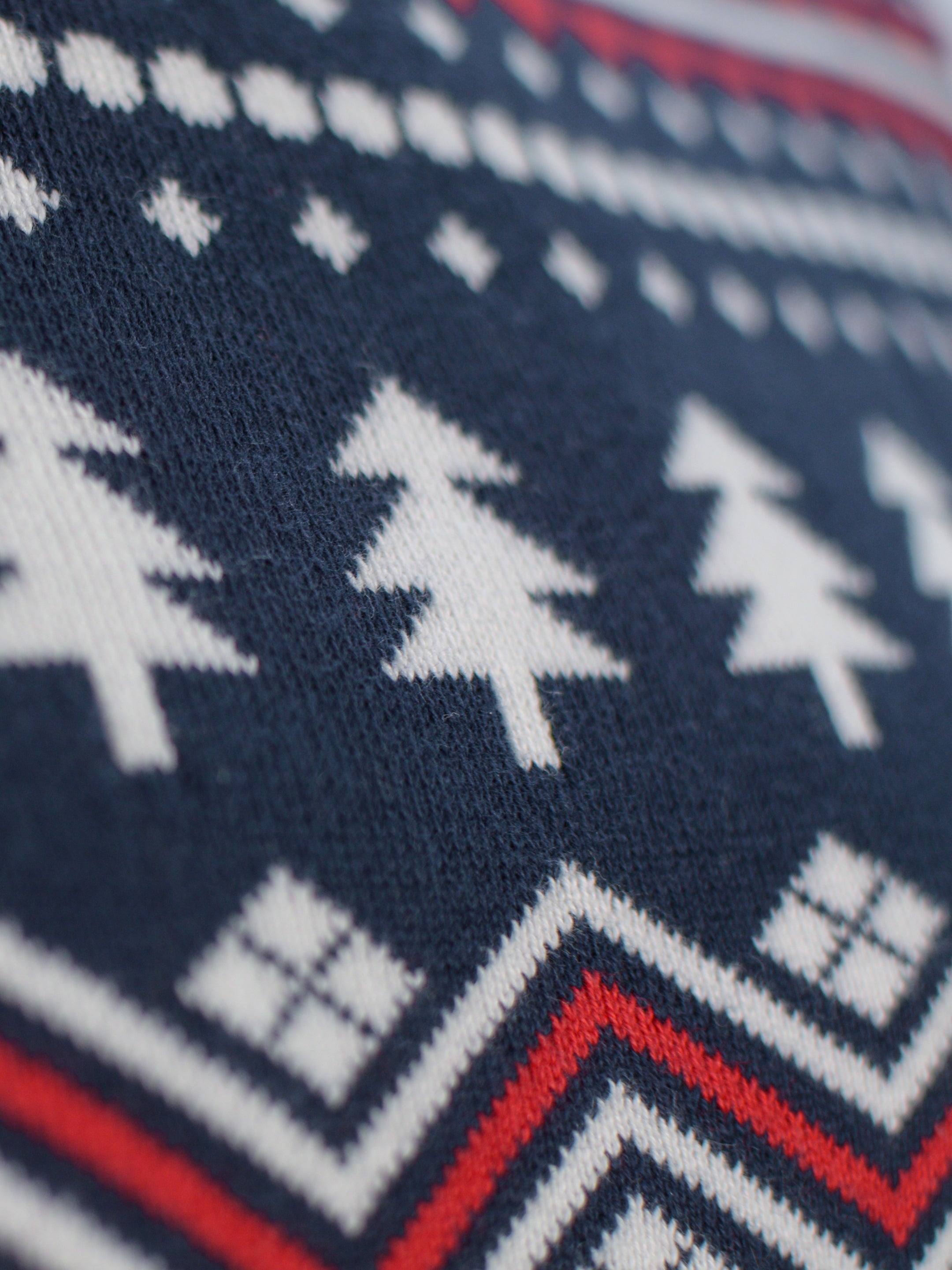 Jersey Hombre Coldberry de Algodón Orgánico 100% Detalle Cenefa